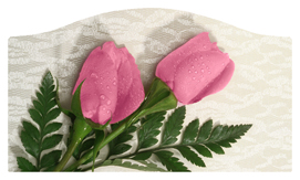 DASHELL-054 2 Roses Pink